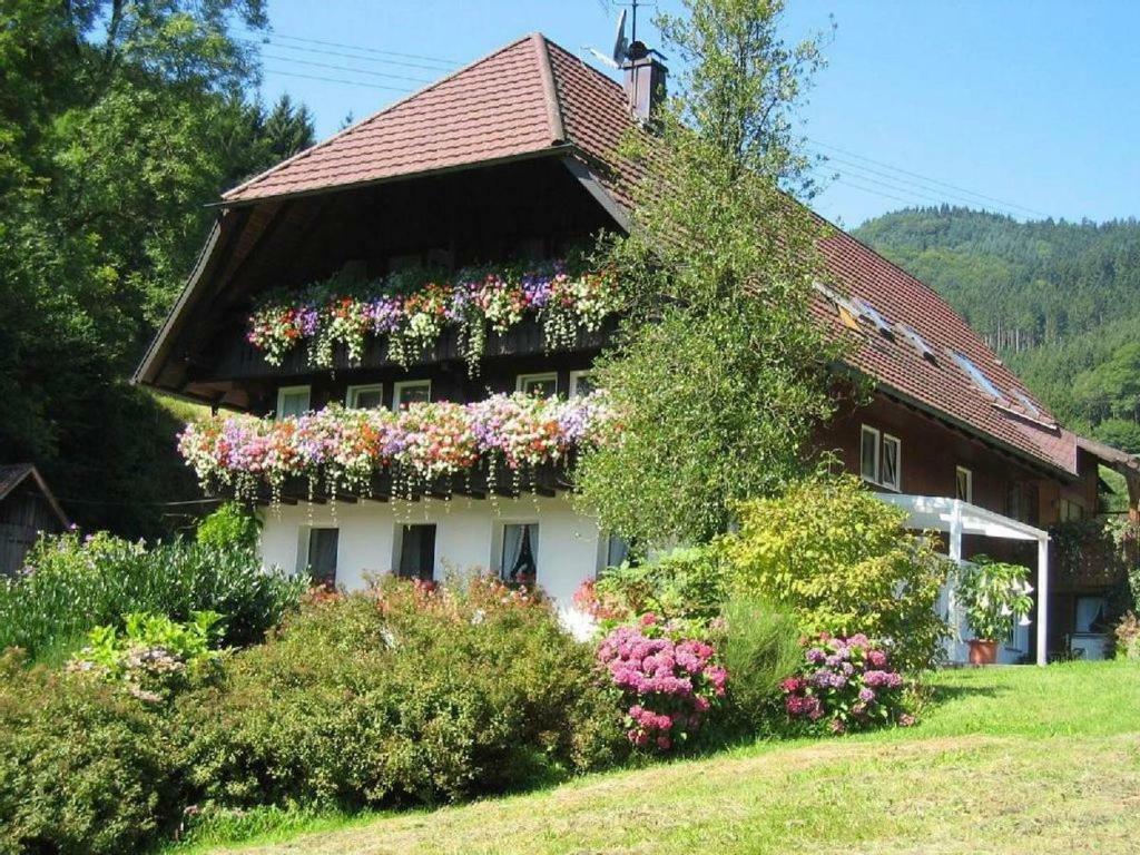 Haus Schneider Leilighet Gutach Eksteriør bilde